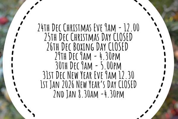 Snapseed_SnapseedCopy_SnapseedCopy